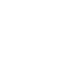 Empresarial e <br />Societário
